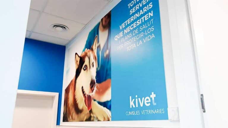 kivet 2